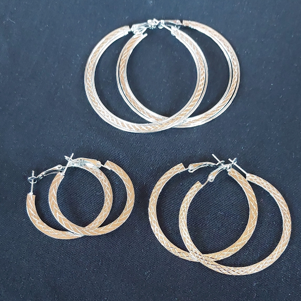 Elegant Silvertone Hoop Earrings Set